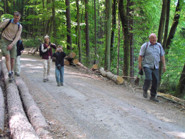 P5010348_bearbeitet-1