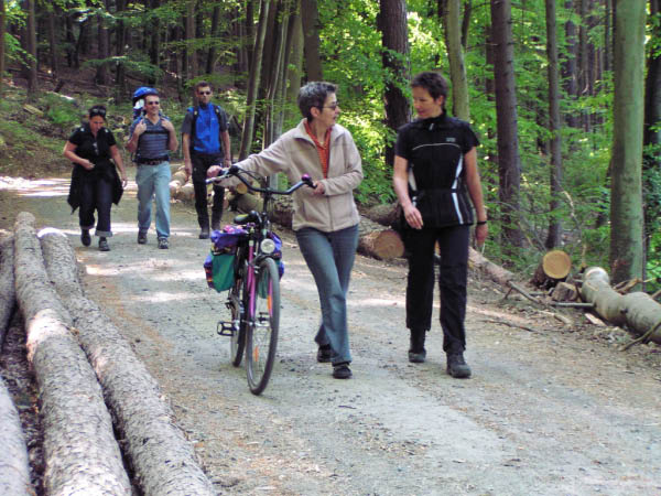 P5010351_bearbeitet-1