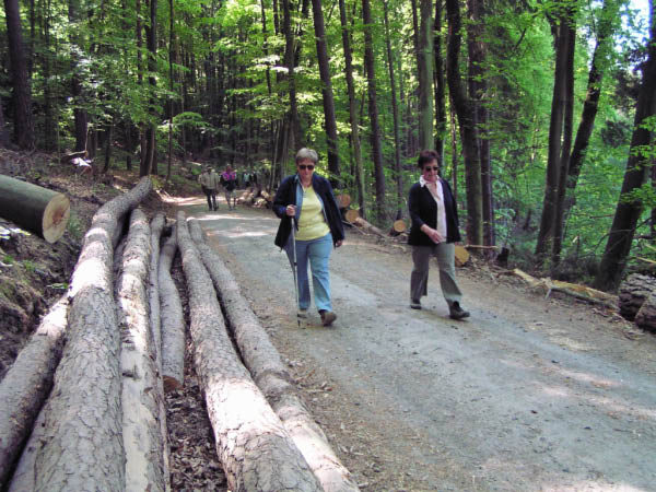 P5010354_bearbeitet-1