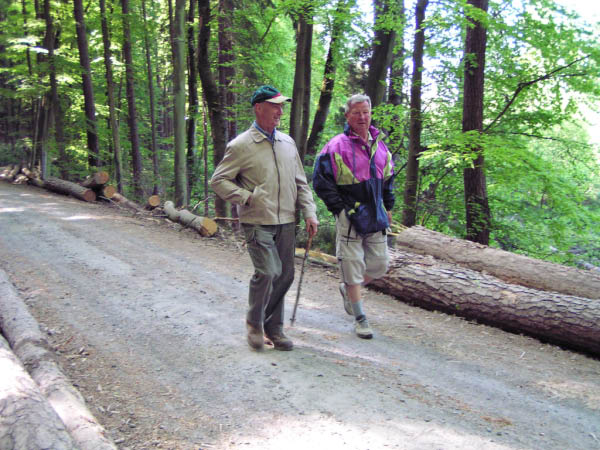 P5010355_bearbeitet-1