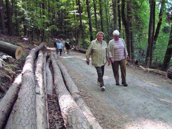 P5010356_bearbeitet-1