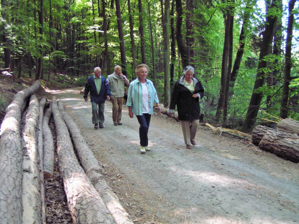 P5010357_bearbeitet-1