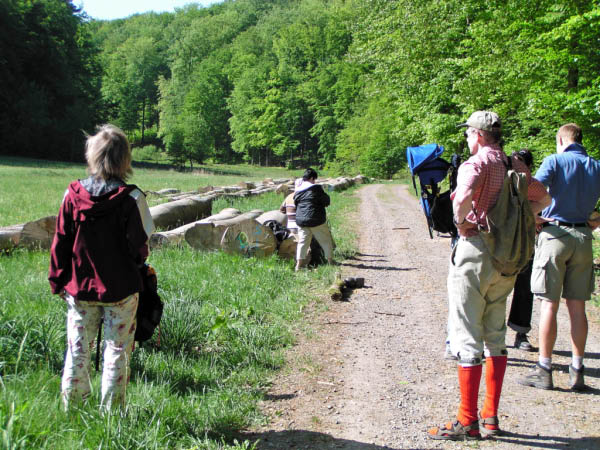 P5010359_bearbeitet-1