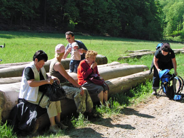 P5010360_bearbeitet-1