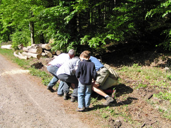 P5010362_bearbeitet-1