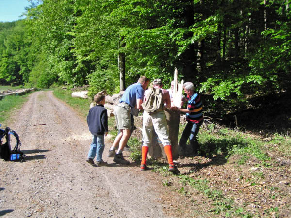 P5010364_bearbeitet-1