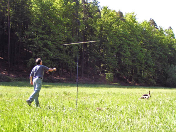 P5010370_bearbeitet-1