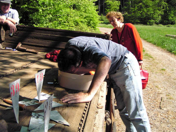 P5010375_bearbeitet-1