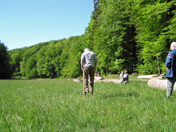 P5010377_bearbeitet-1