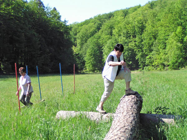 P5010387_bearbeitet-1