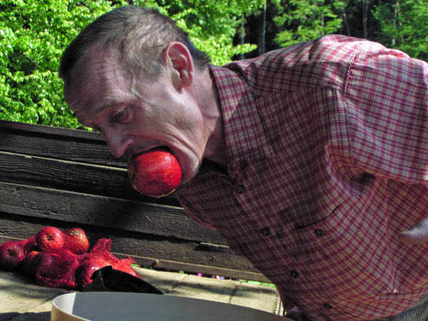 P5010397_bearbeitet-1