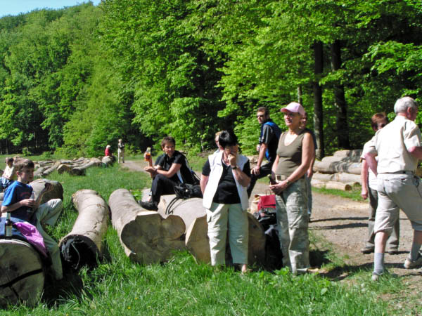 P5010399_bearbeitet-1