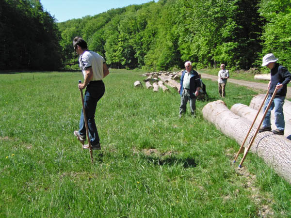 P5010414_bearbeitet-1